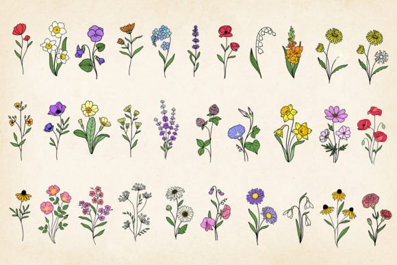Download Hand-drawn Minimal Wildflowers Bundle - Lower Collection